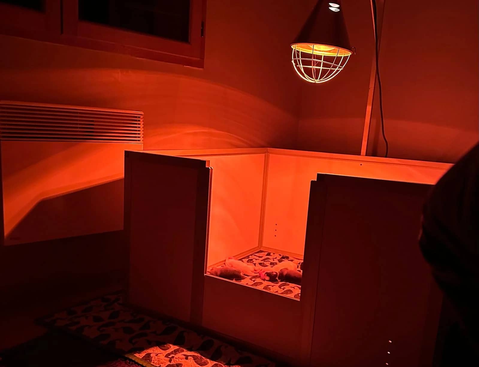 Carrousel montrant les cocons et espaces de repos des chiots de l elevage