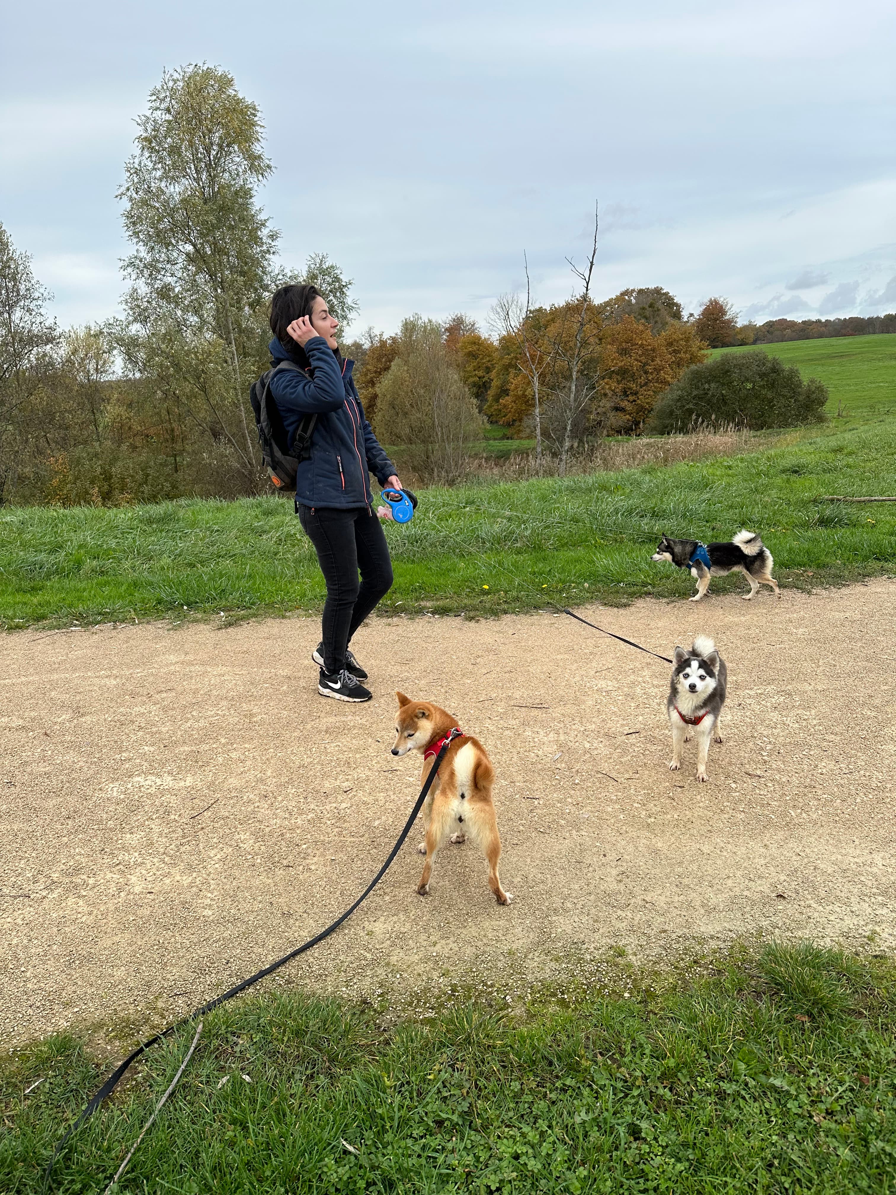 Marine en promenade avec les chiens