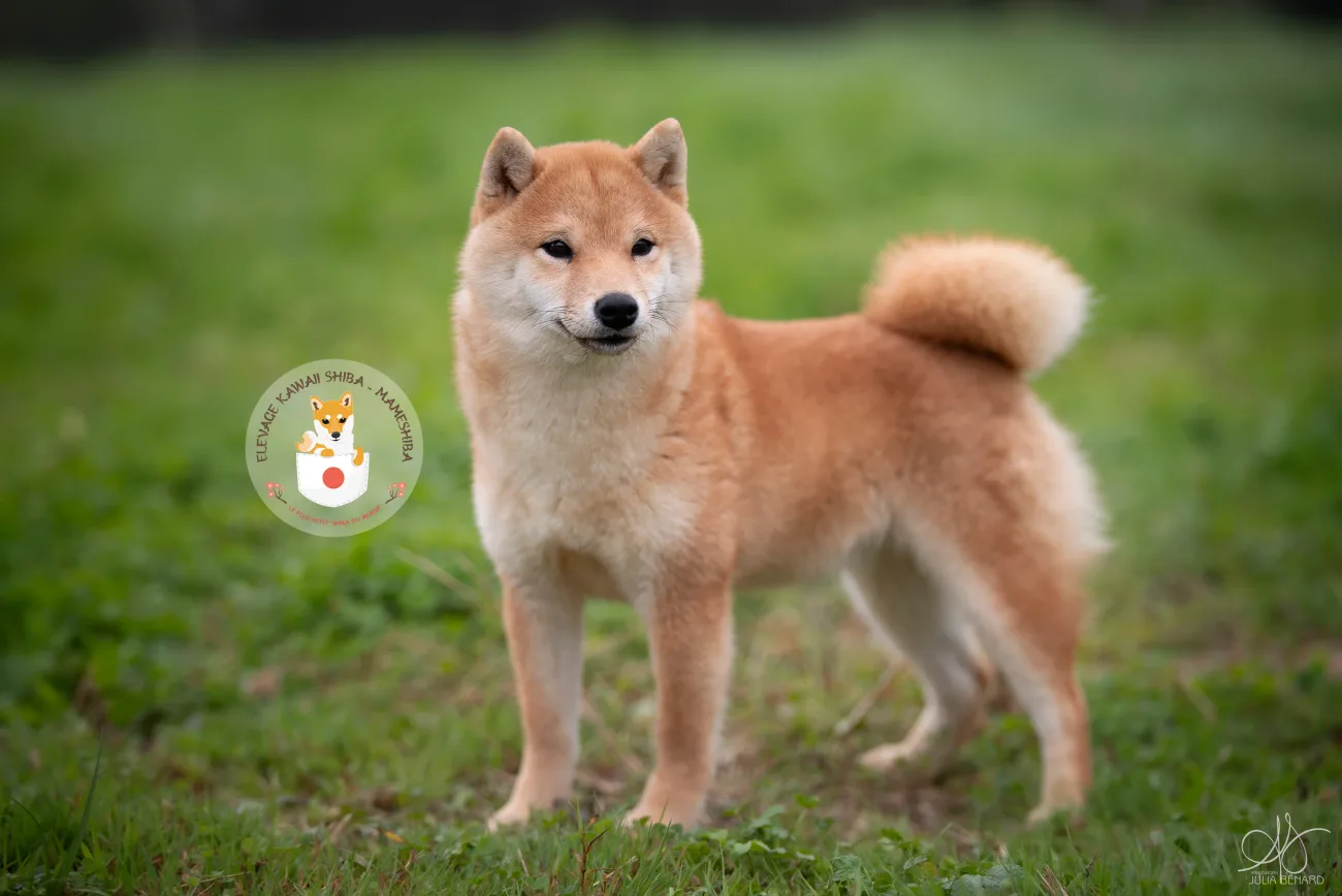 Yumi, mère de AKIRO